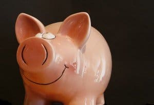 piggy bank piggy bank savings